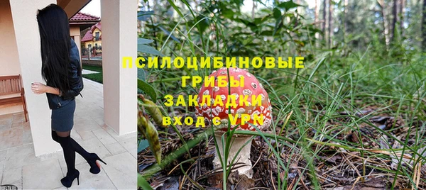 ГАЛЛЮЦИНОГЕННЫЕ ГРИБЫ Алзамай
