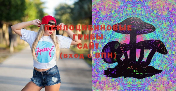 стаф Алексеевка