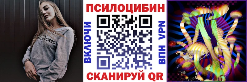 Псилоцибиновые грибы мухоморы  гидра ССЫЛКА  Мичуринск  цена  